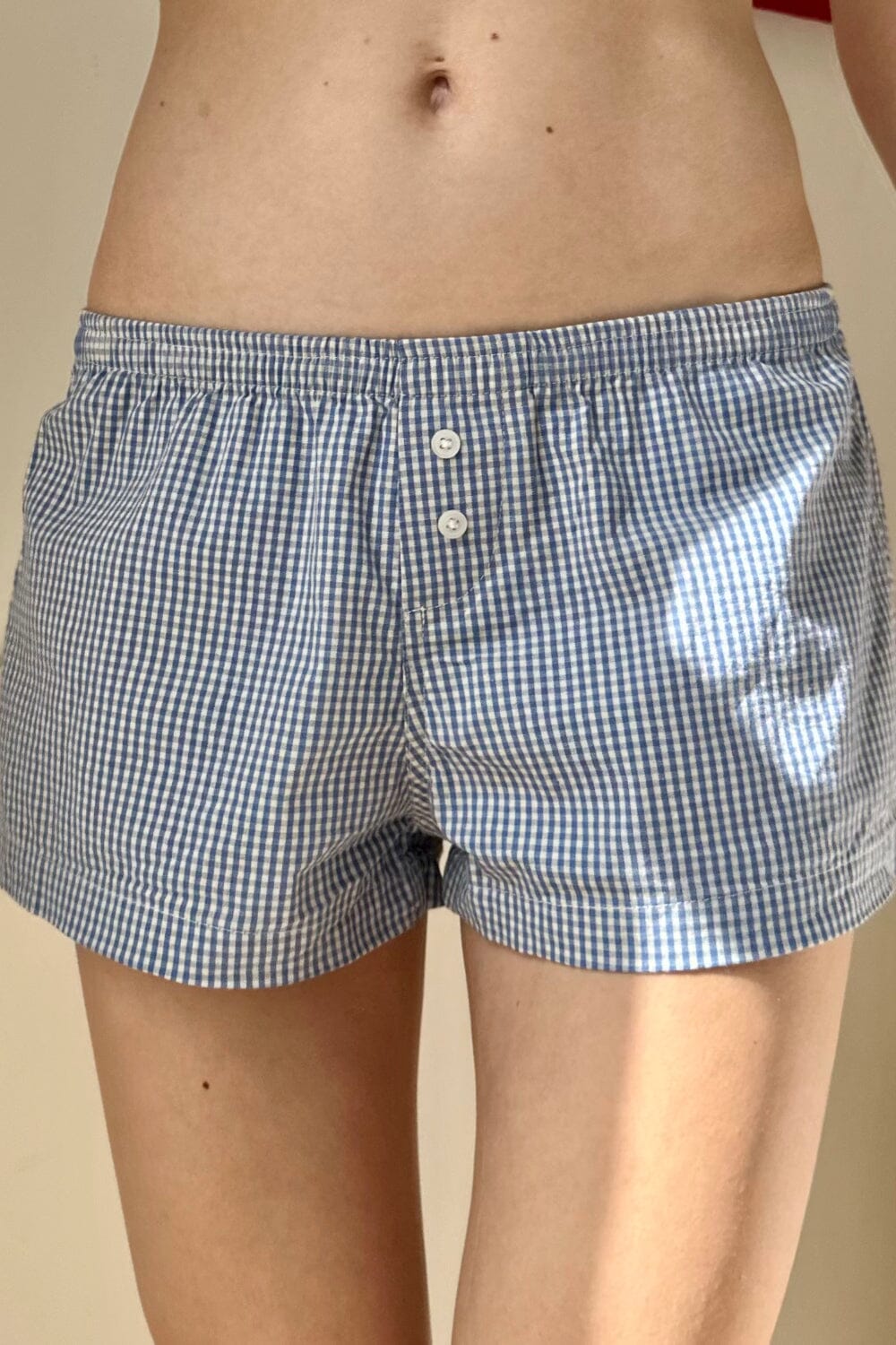 Light Blue Gingham / XS/S