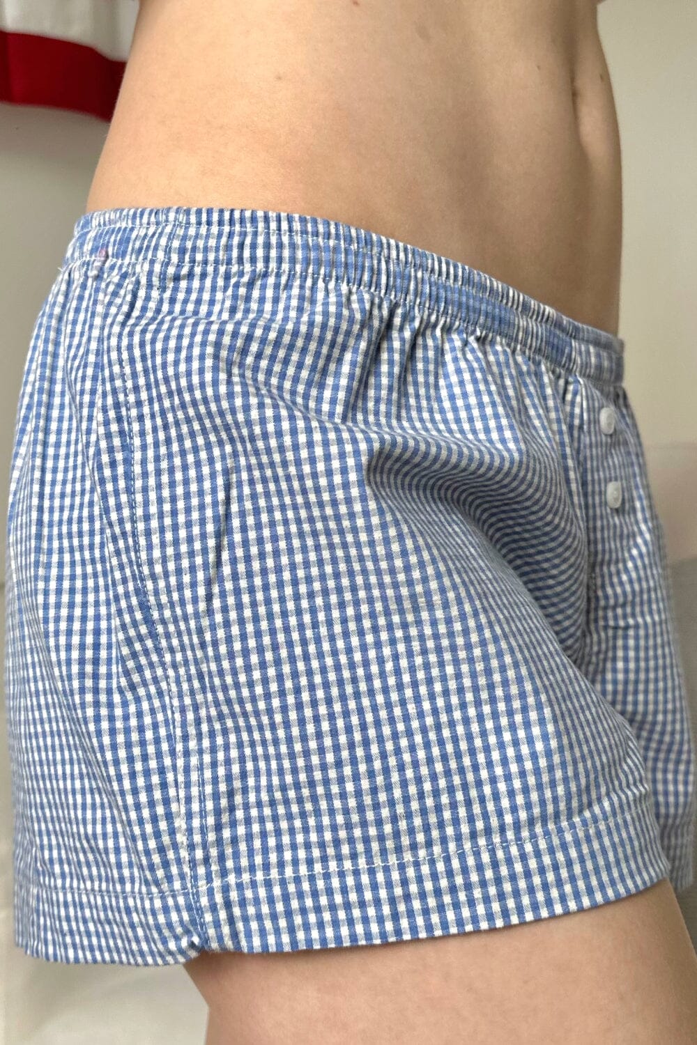 Light Blue Gingham / XS/S