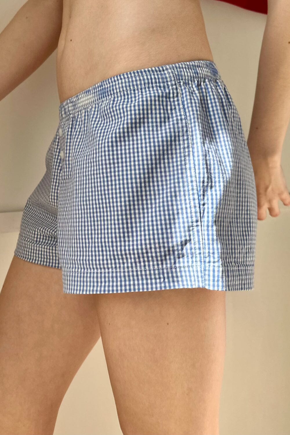 Light Blue Gingham / XS/S